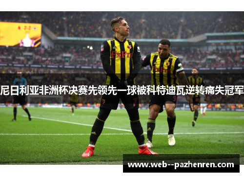 尼日利亚非洲杯决赛先领先一球被科特迪瓦逆转痛失冠军